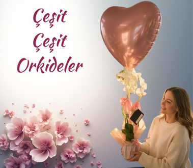 orkideler