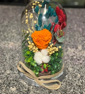 Turuncu Solmayan Gül